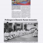 presse2008_karate05