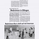 presse2009_badminton01