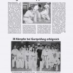 presse2010_karate01