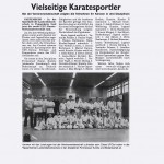 presse2010_karate04