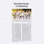 presse2011_karate01