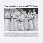 presse2011_karate03