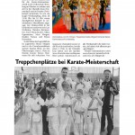 presse2011_karate04