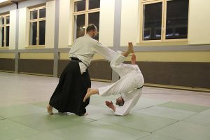 aikido-serie-bild04