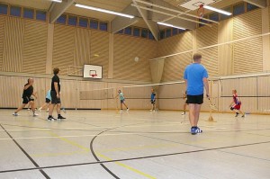 badminton-artikel01