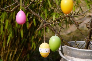 fussball-ostermeldung