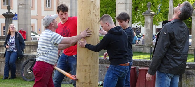 Maibaumaufstellung in Ellingen