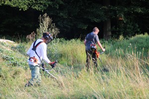 radsport-dirtpark-maehen02