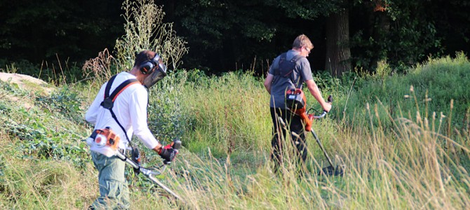 Dirtpark Mähen ist gemacht – weitere Schritte werden folgen