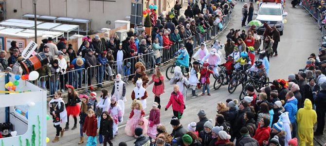 UFCler beim Ellinger Faschingszug