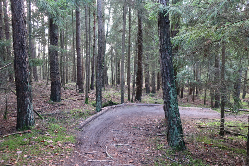 MTB-Trainingsparkour in Ellingen und Trailbau in Pleinfeld – ein aktueller Zwischenstand