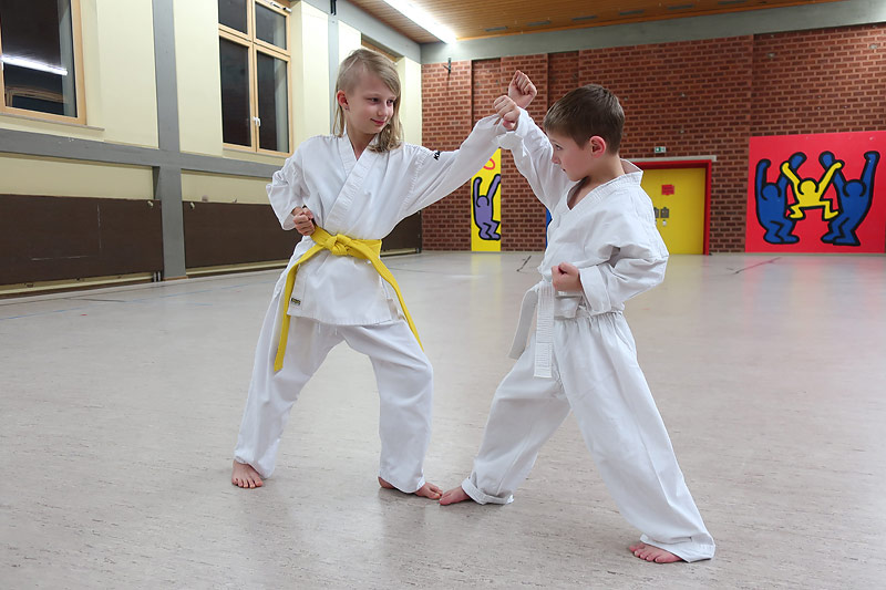 Dynamic-Karate: Am 11. Mai startet ein Anfängerkurs für Kinder